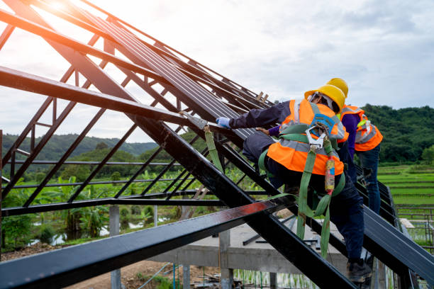 Best Metal Roofing Contractor  in Forest City, NC